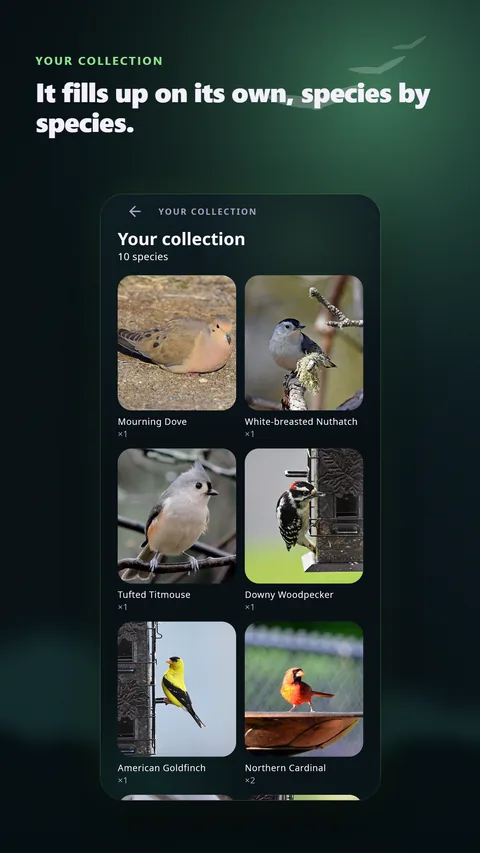 The collection filling up on its own, species by species