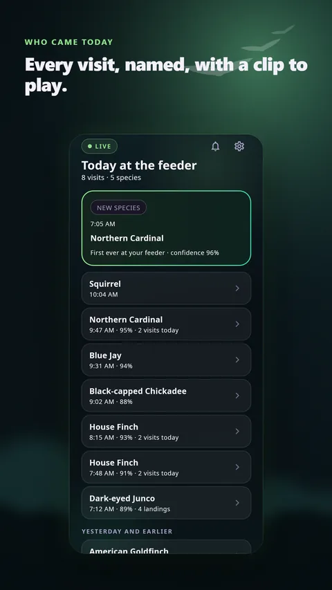 Today at the feeder: every visit named, with a clip to play