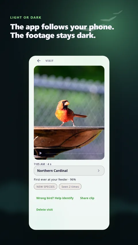 The light theme: the app follows your phone, the footage stays dark