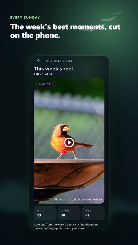 The weekly reel: the week's best moments, cut on the phone