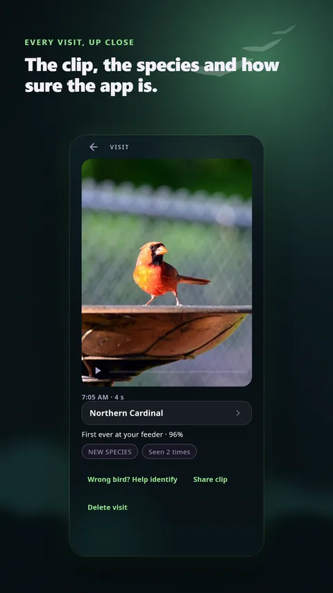 Every visit up close: the clip, the species and how sure the app is